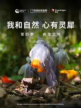《我和自然 心有灵犀》第四季 - 共生之地：窥探生命的奥秘，感受人与自然的和谐共鸣