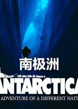 《南极洲》：不只是看企鹅卖萌！一场关于生存与希望的极地史诗，看完想立马回到太空！