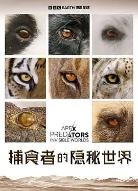 《捕食者的隐秘世界》：一场关于生存、欲望与舞者的极致视觉盛宴！